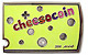 cheesocoin