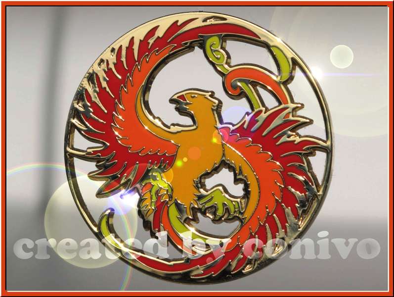 geocaching paradise geocoin by conivo