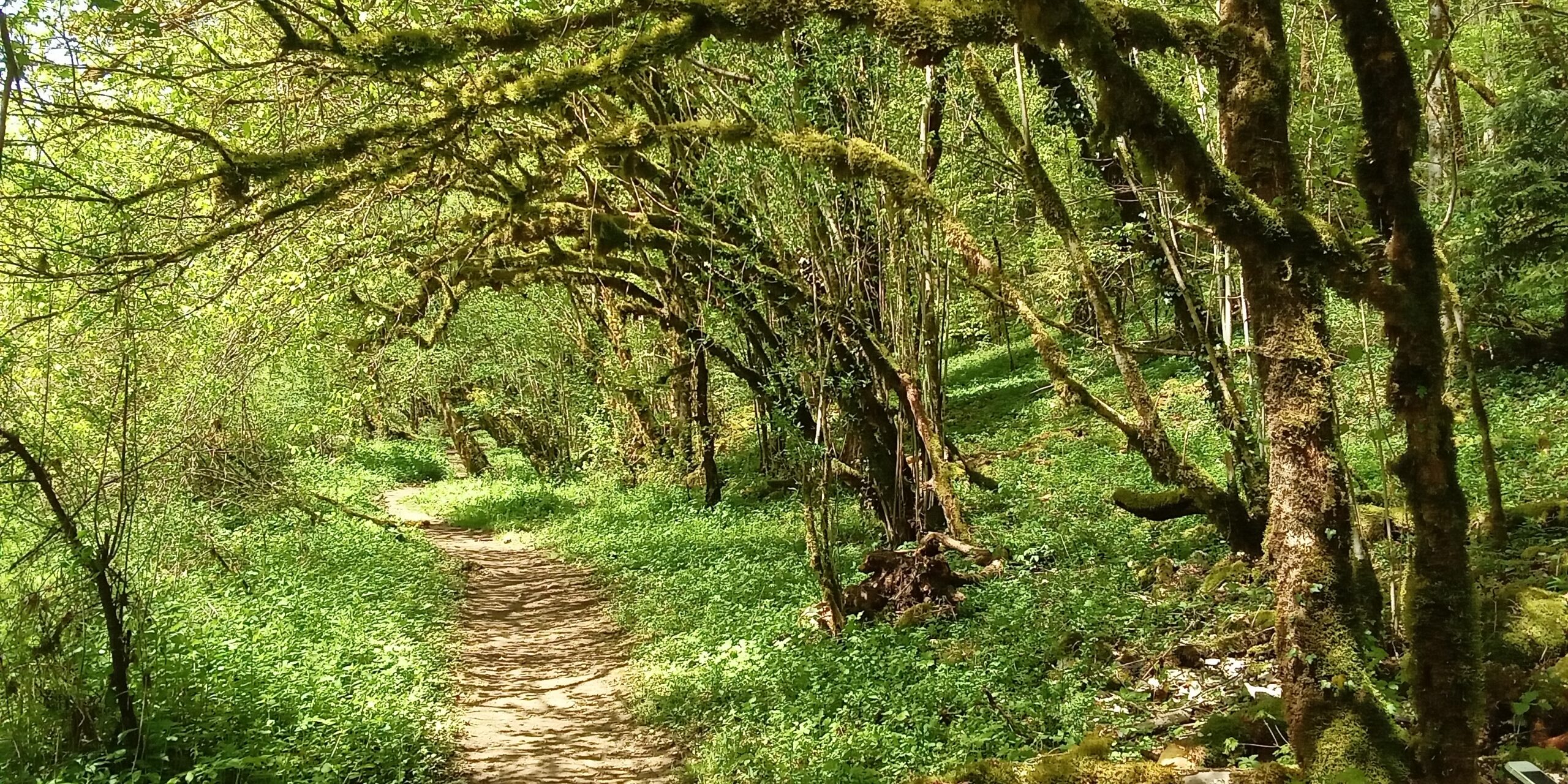 Wanderweg der Route 2 und 95 entlang des Doubs JU